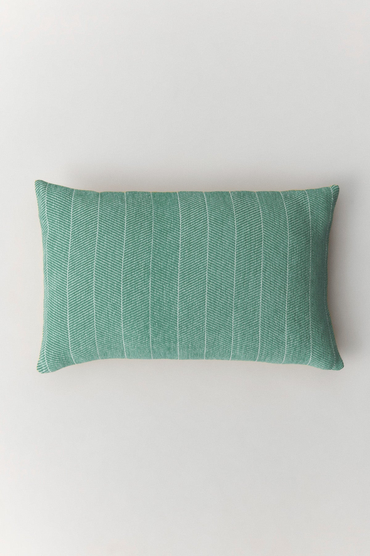Bone Cushion